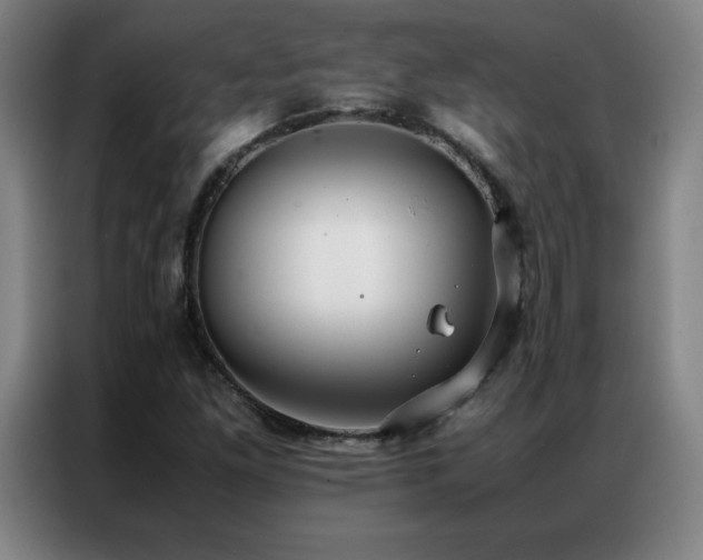 X0000087331261200704201122