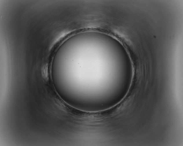 X0000087331262200704201122