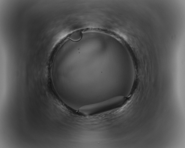 X0000087331263200704201121
