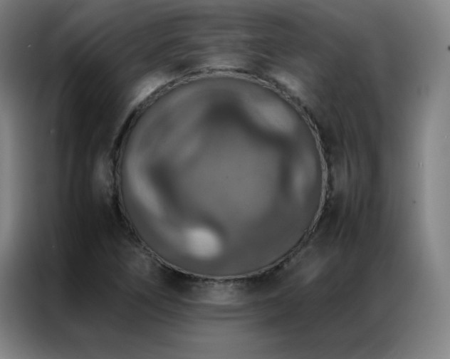 X0000087331266200704201121