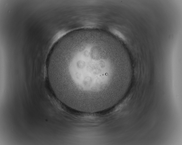 X0000087331267200704201121