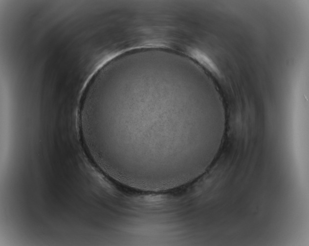 X0000087331268200704201121