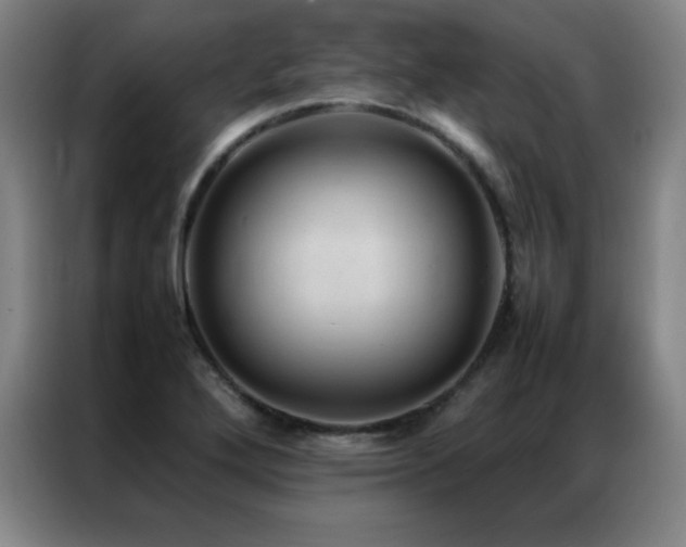 X0000087331272200704201121