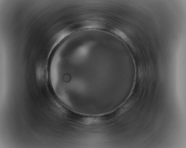 X0000087331274200704201121