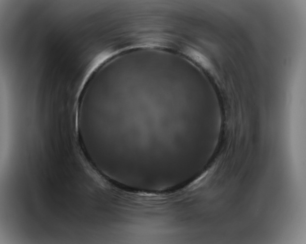 X0000087331275200704201121