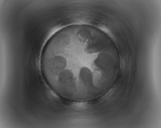 X0000087331278200704201121