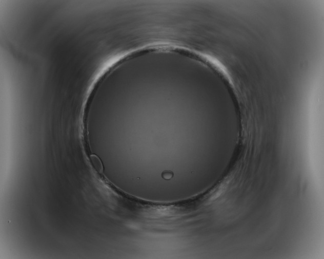 X0000087331279200704201121