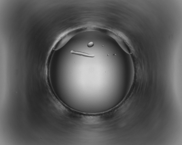 X0000087331280200704201121