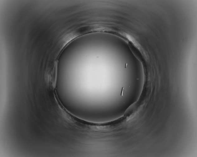 X0000087331281200704201121