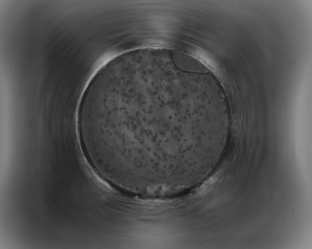 X0000087331283200704201121