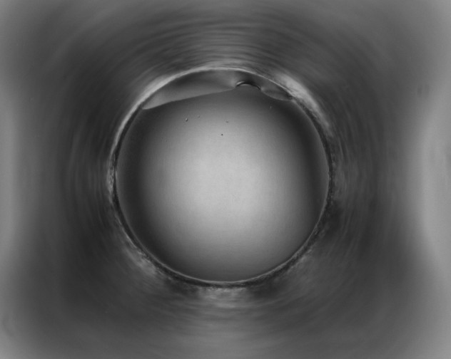 X0000087331284200704201121