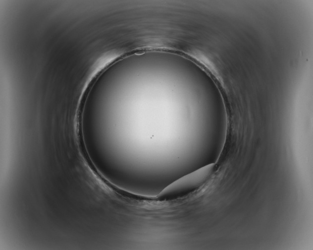 X0000087331285200704201121