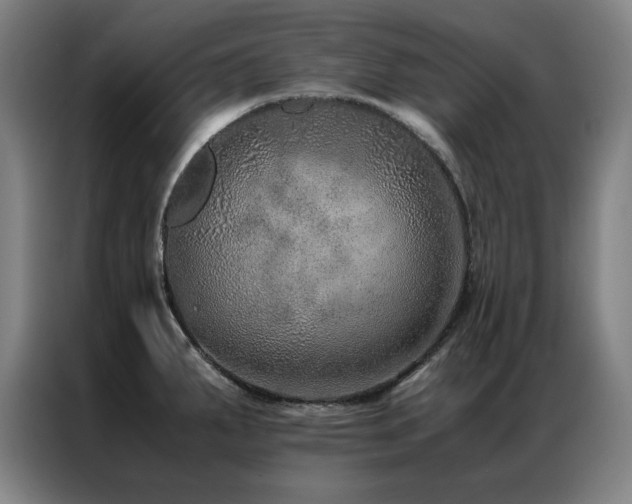 X0000087331287200704201121