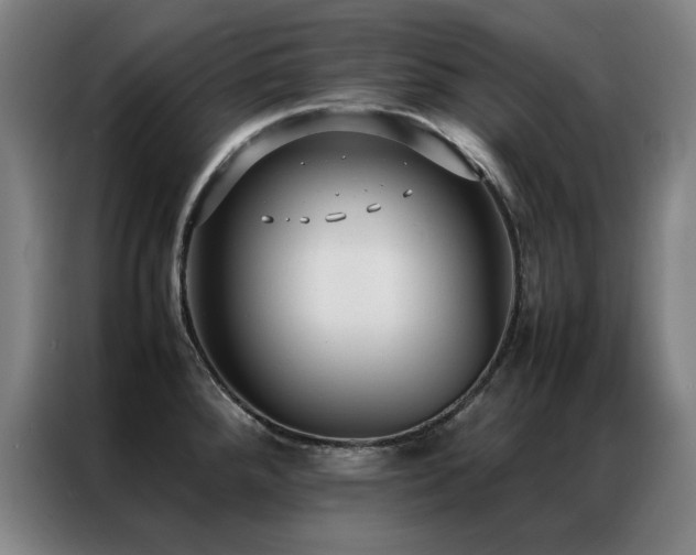 X0000087331288200704201121