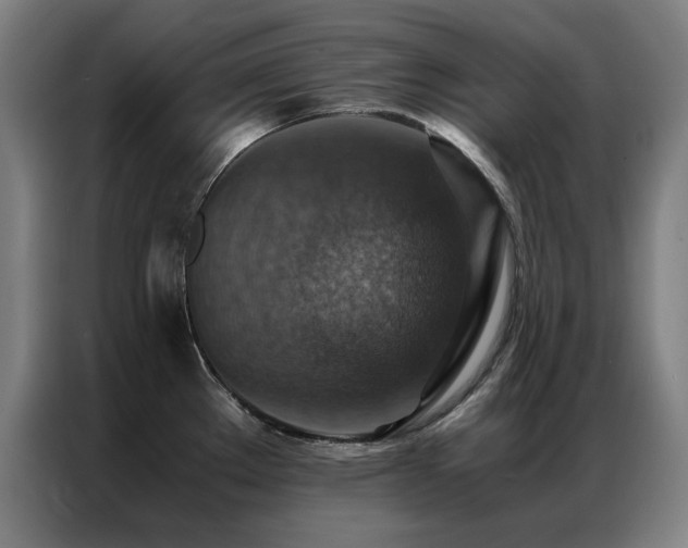 X0000087331289200704201121