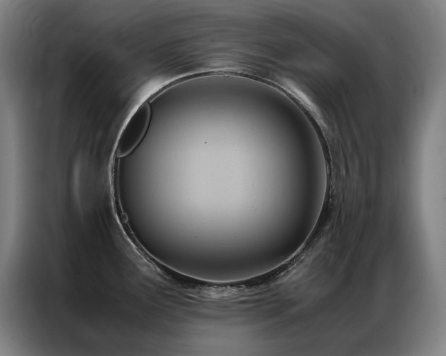 X0000087331291200704201121