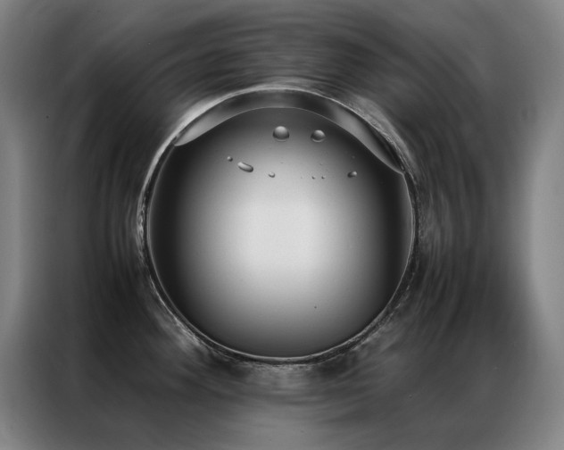 X0000087331292200704201121