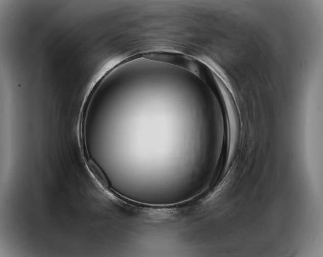 X0000087331293200704201121