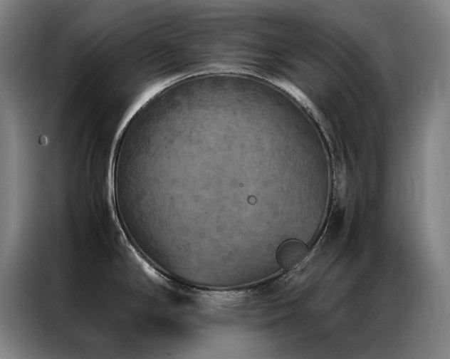 X0000087331294200704201121