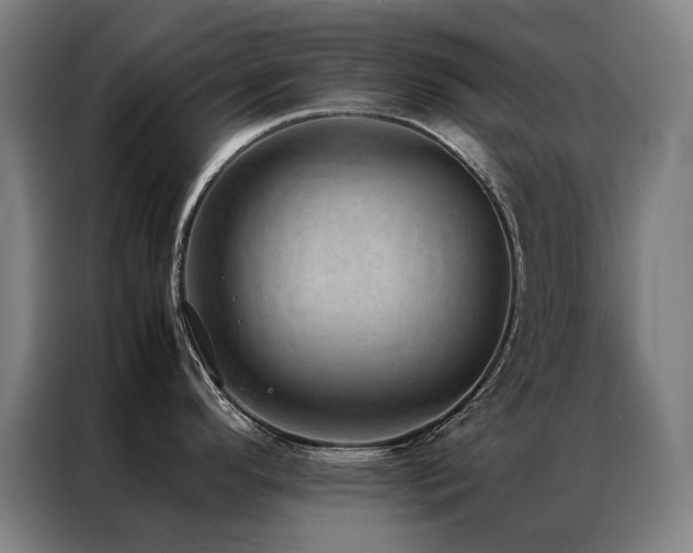 X0000087331296200704201121