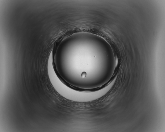 X0000087331298200704201121