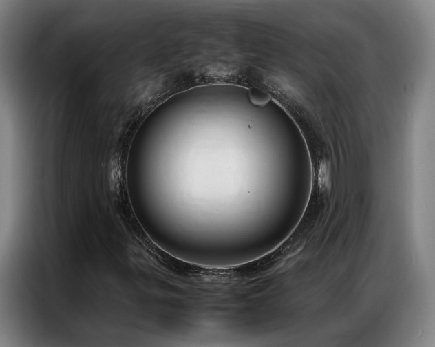 X0000087331299200704201121