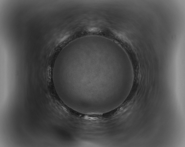 X0000087331301200704201121