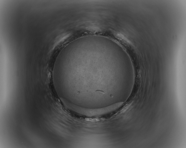 X0000087331302200704201121