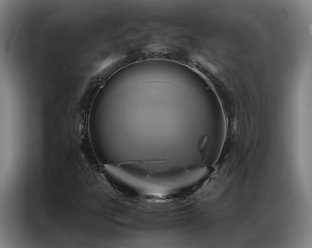 X0000087331303200704201121