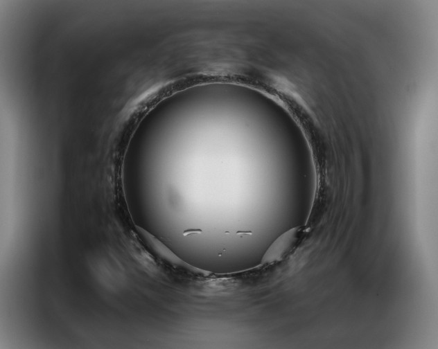 X0000087331304200704201121