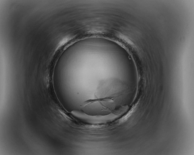 X0000087331306200704201121
