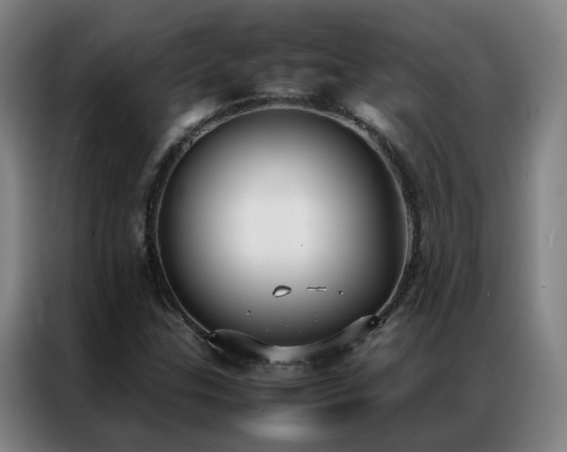 X0000087331307200704201121