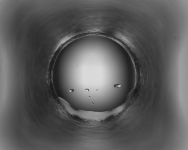 X0000087331308200704201121
