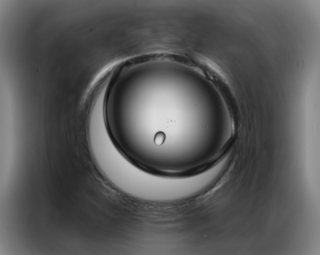 X0000087331310200704201121