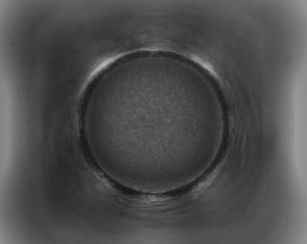 X0000087331311200704201121