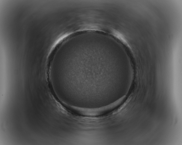 X0000087331312200704201121