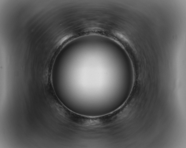 X0000087331313200704201121
