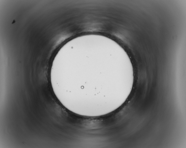 X0000087331314200704201121