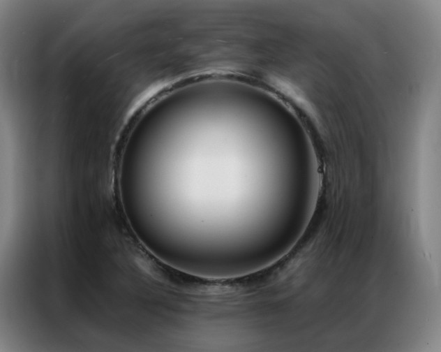 X0000087331316200704201121