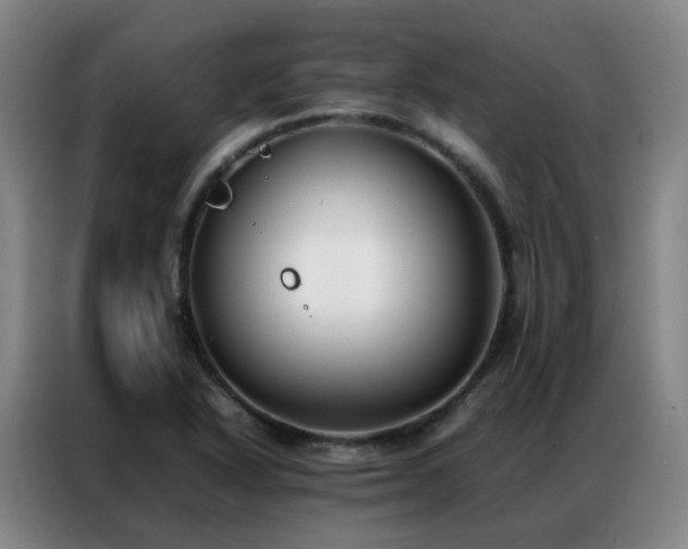 X0000087331318200704201121