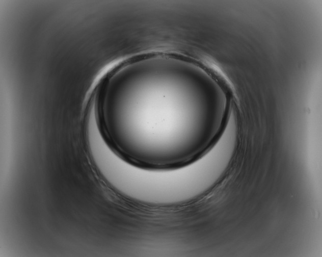 X0000087331320200704201121