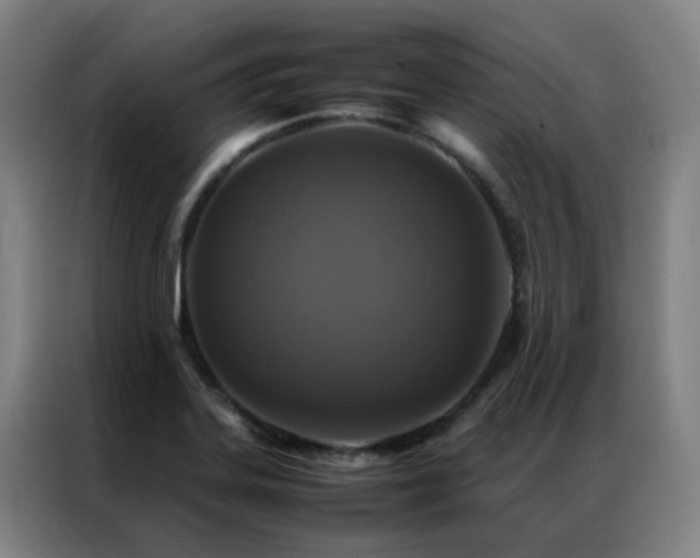 X0000087331323200704201121
