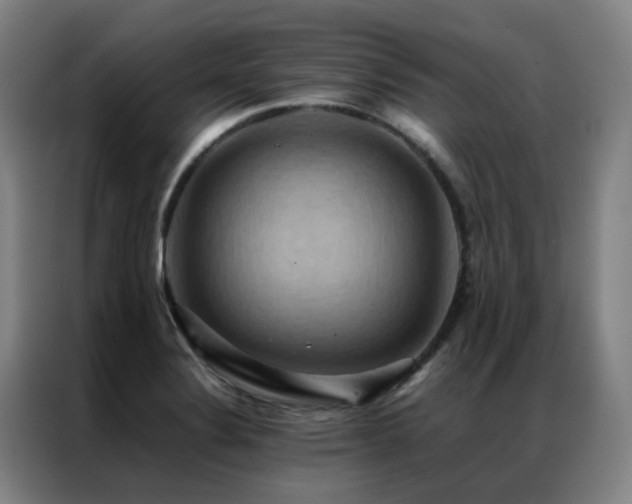 X0000087331324200704201121
