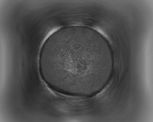 X0000087331325200704201121