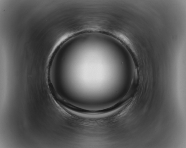 X0000087331326200704201121