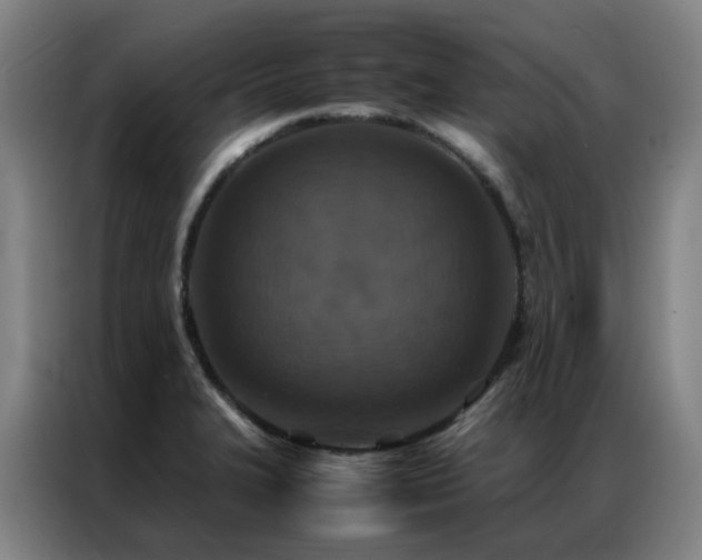 X0000087331327200704201121