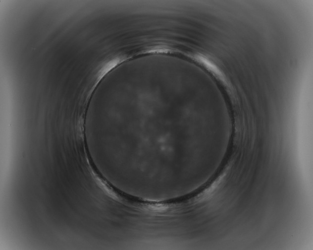X0000087331329200704201121