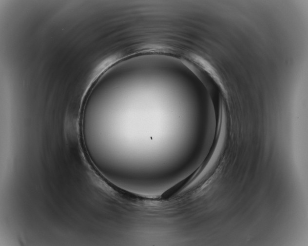 X0000087331330200704201121