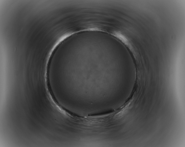 X0000087331331200704201121