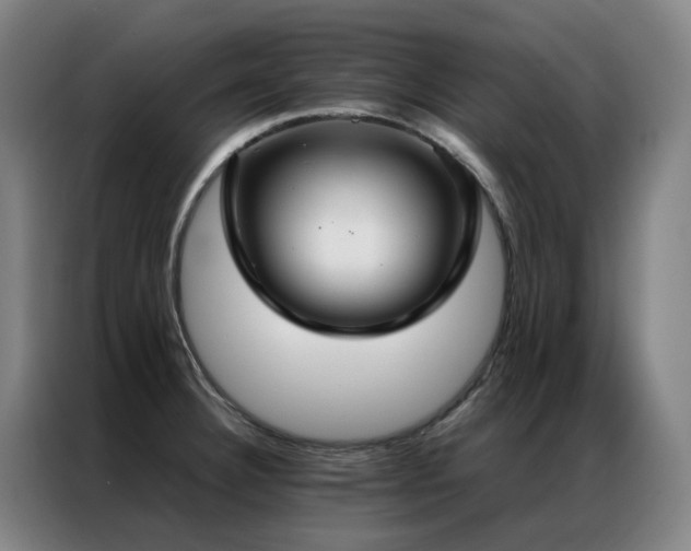 X0000087331332200704201121